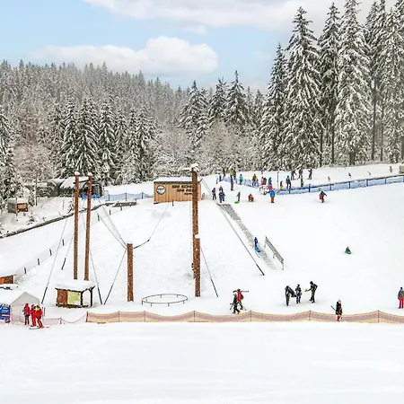 Alice I- By Interhome Harrachov