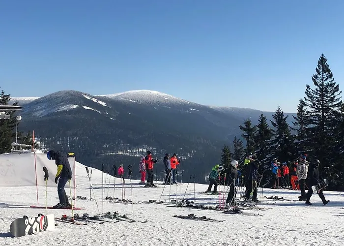 Alice I- By Interhome * Harrachov